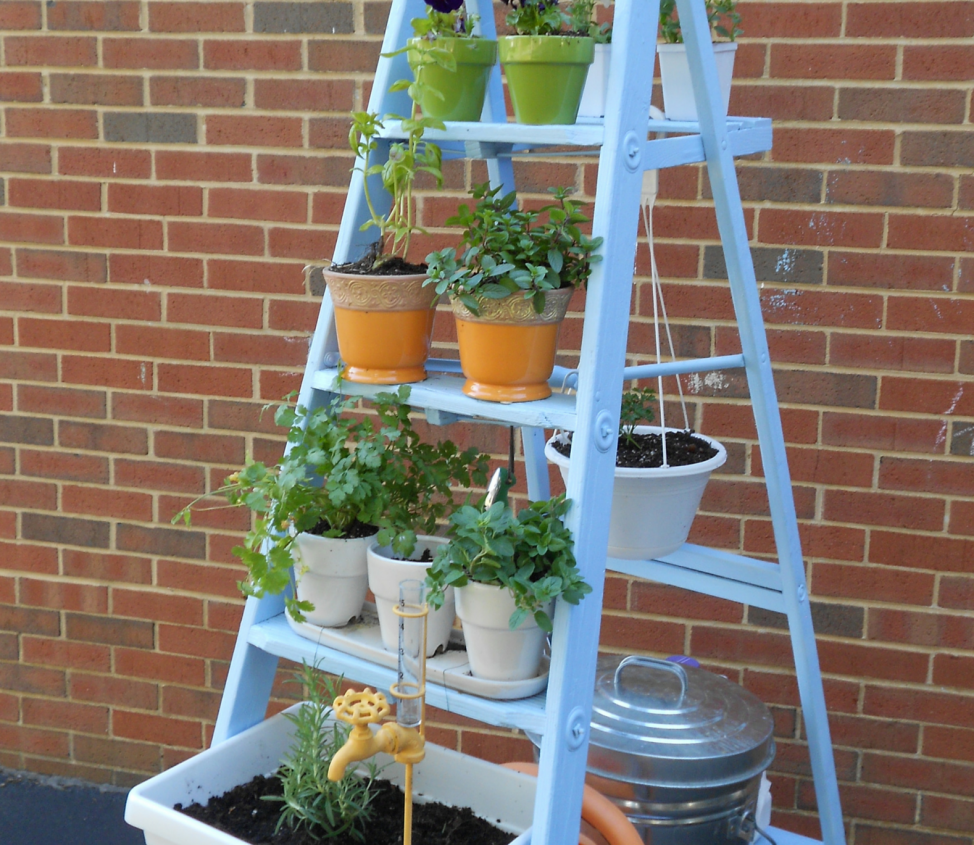 ladder_vertical_garden.png null