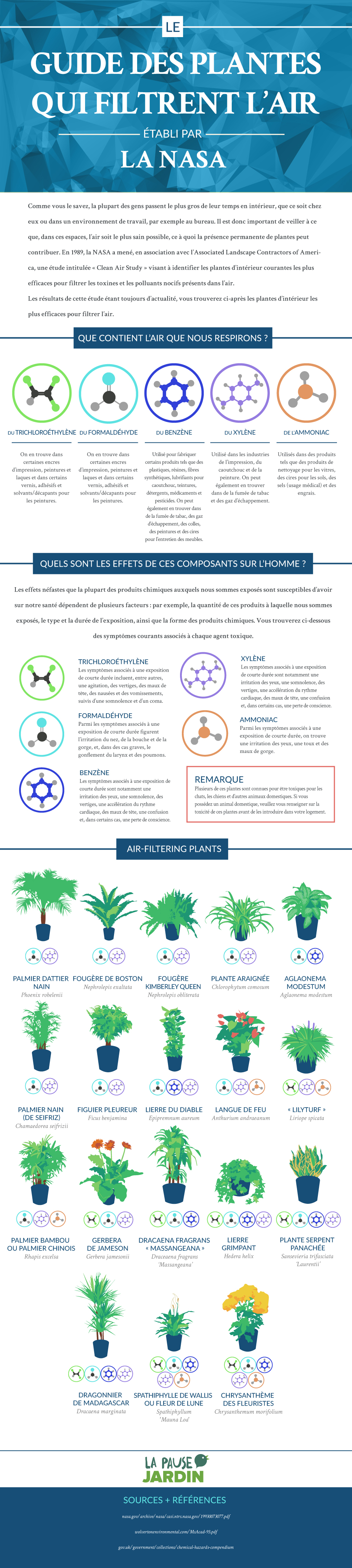 ltg_houseplants_5_fr_b.jpg null