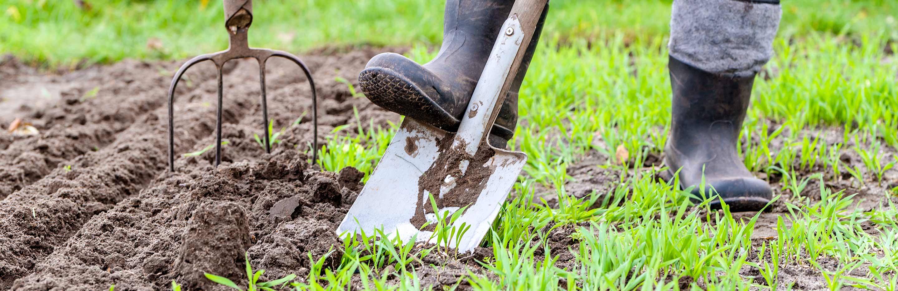 May planting and harvesting guide