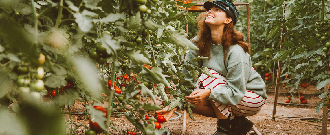 Moestuin met Substral - Love The Garden