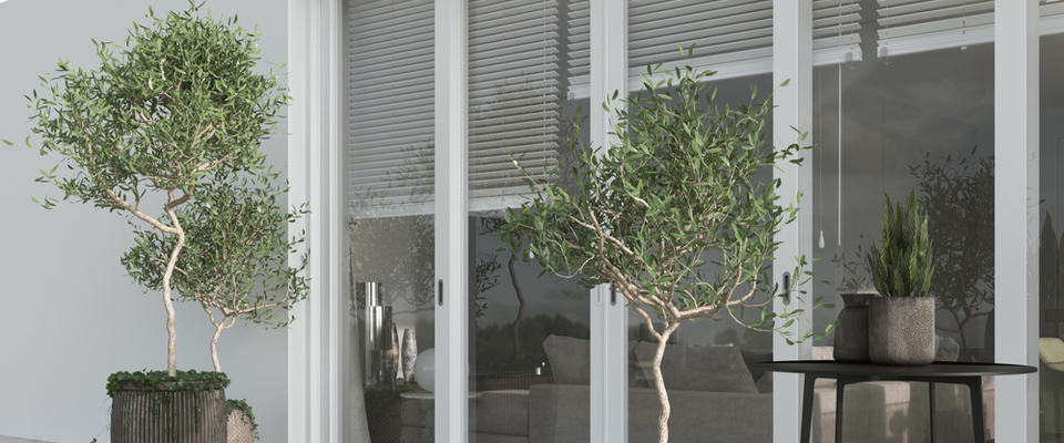 olijfbomen verzorgen