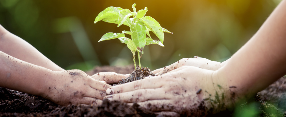 Osmocote Technologie Expliqué - Love The Garden