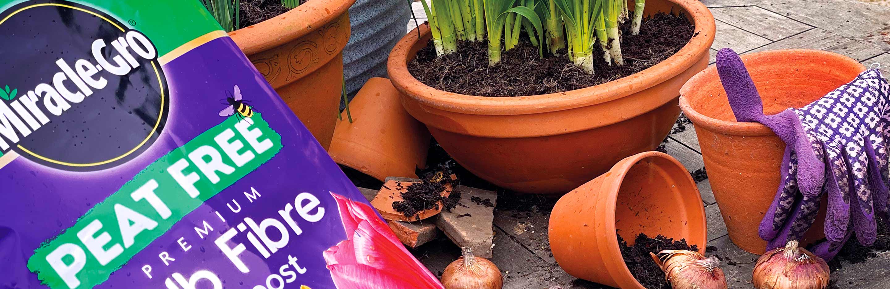 Peat free gardening explained