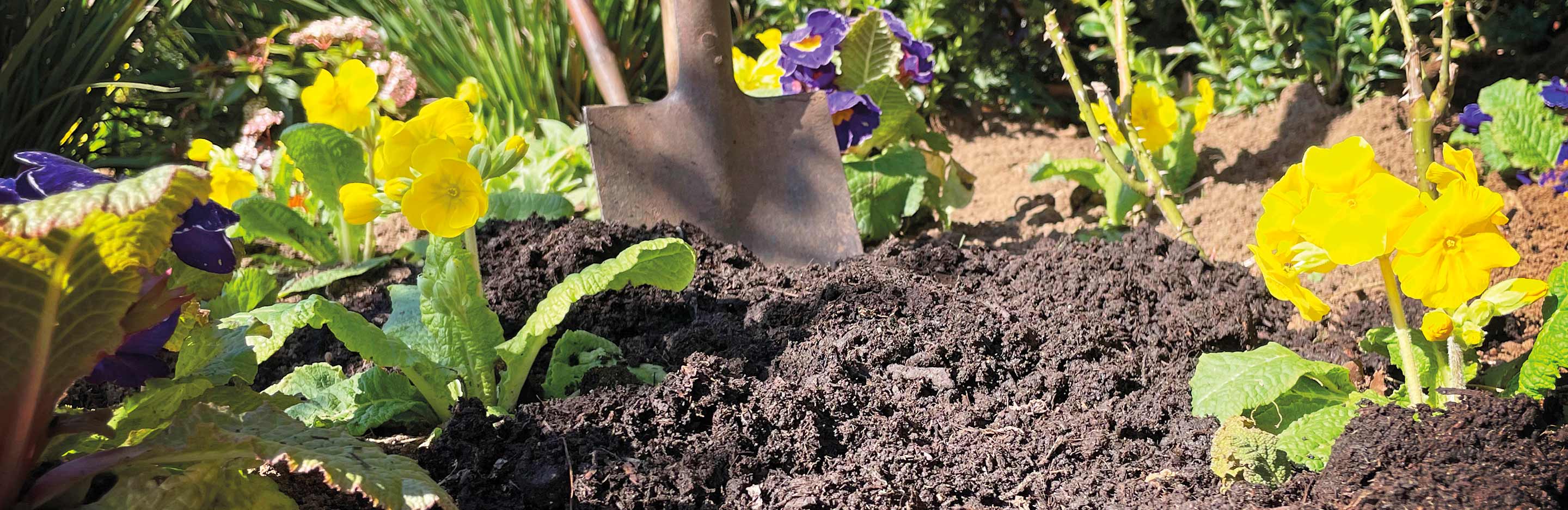 Why we have a moral duty to go peat free