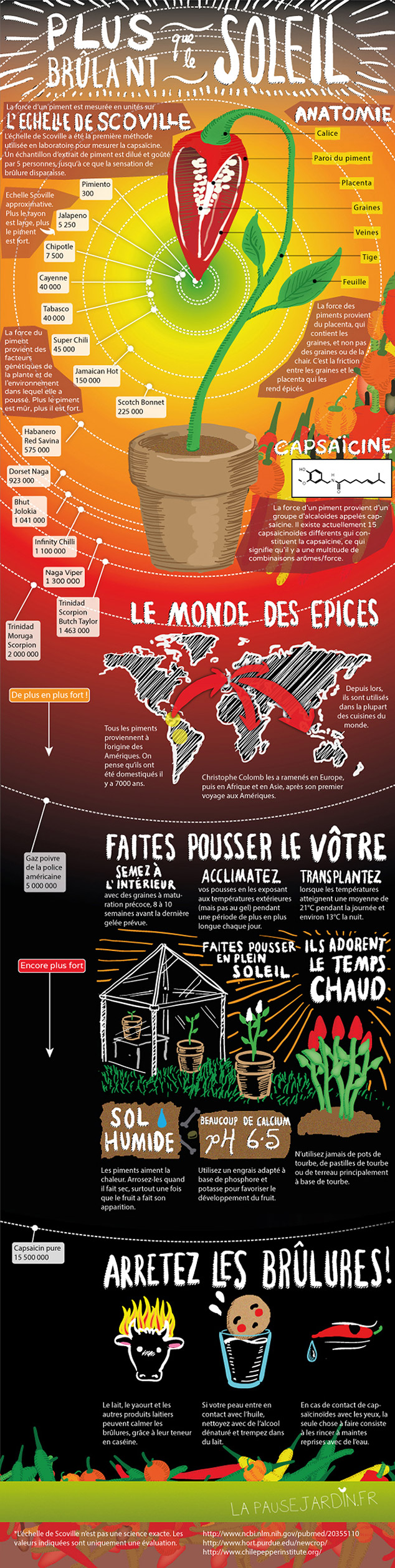 piments-infographie.jpg null