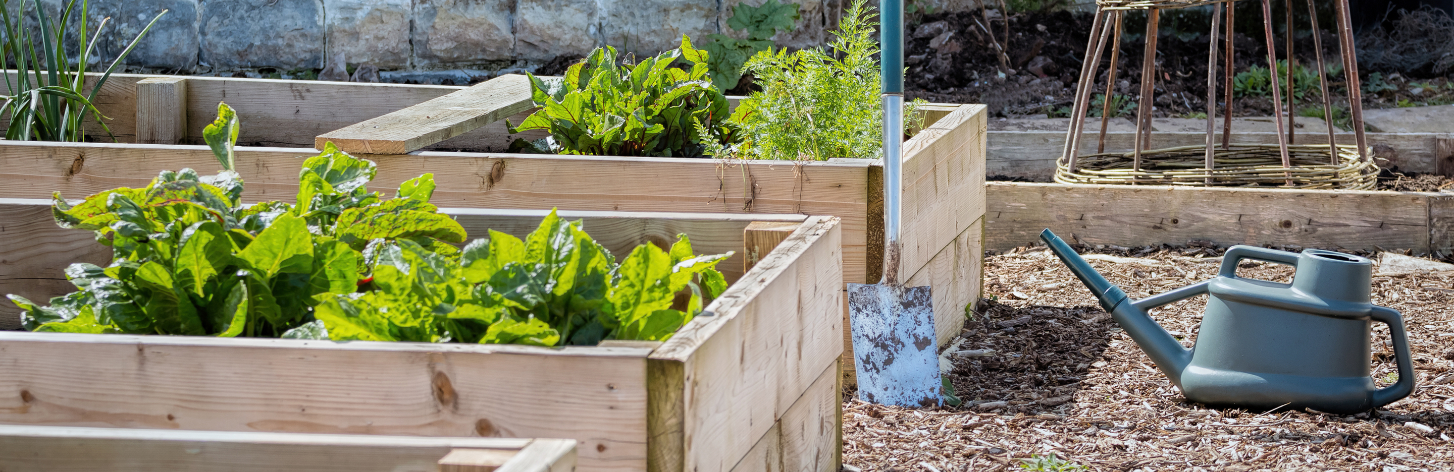 Podwyższone grządki z warzywami w ogrodzie 