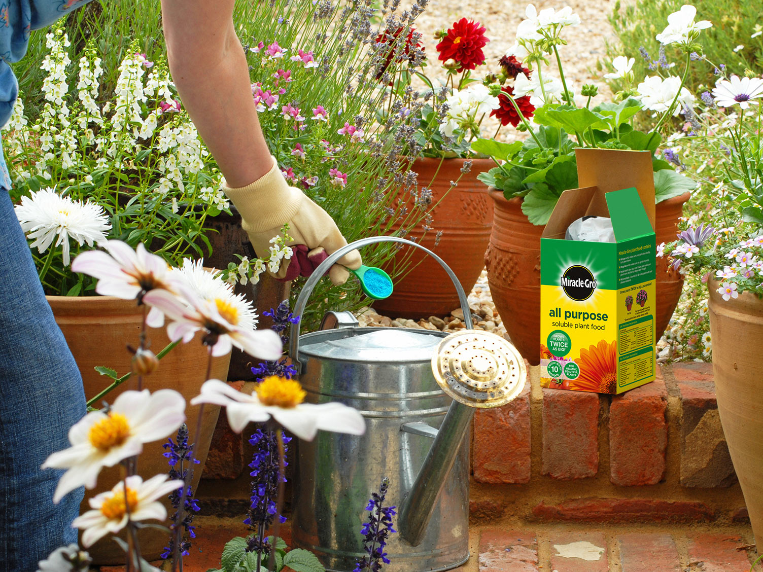 UK_miracle-gro-soluble-plant-food-in-use.jpg Miracle-Gro Soluble Plant Food in use