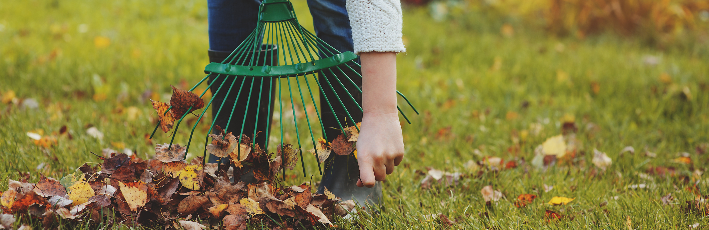 Przygotowanie ogrodu na zimę