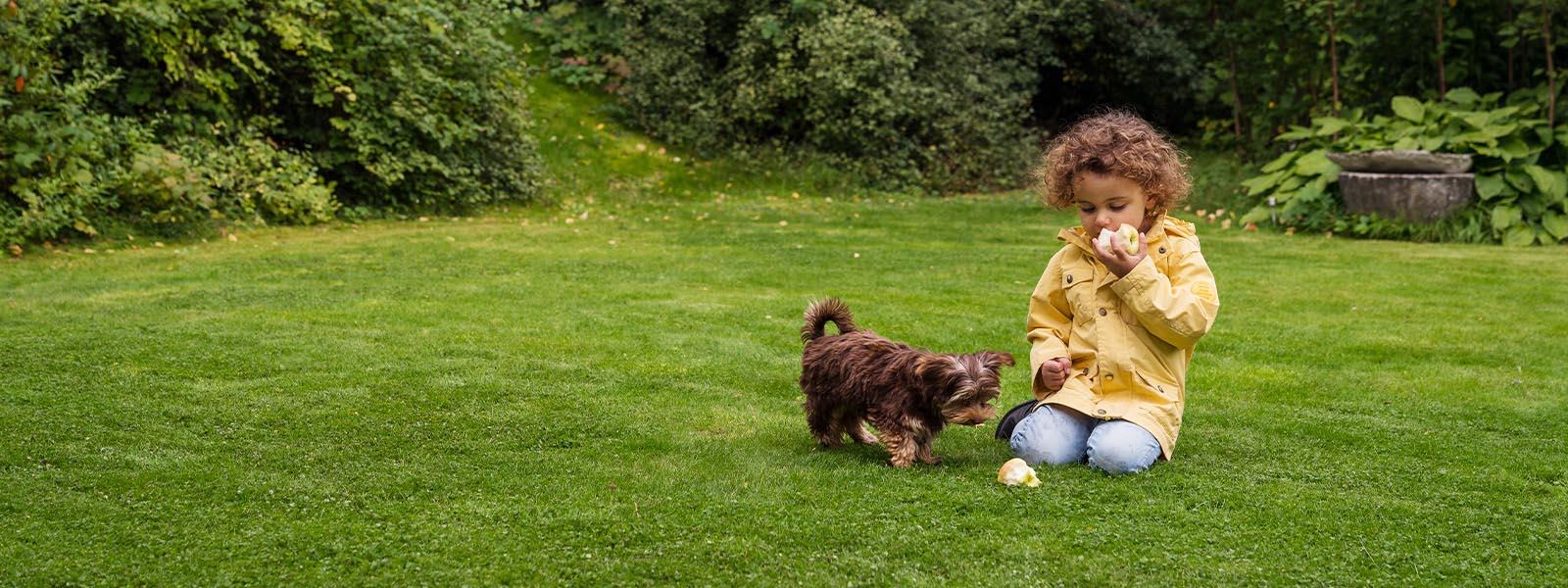 Gör gräsmattan vårfin