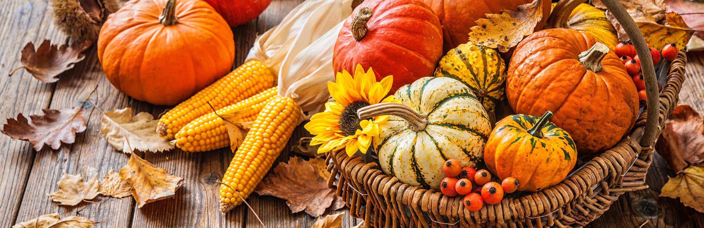 September planting and harvesting guide