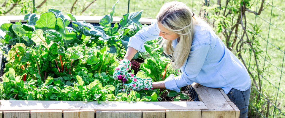 moestuinbak op poten