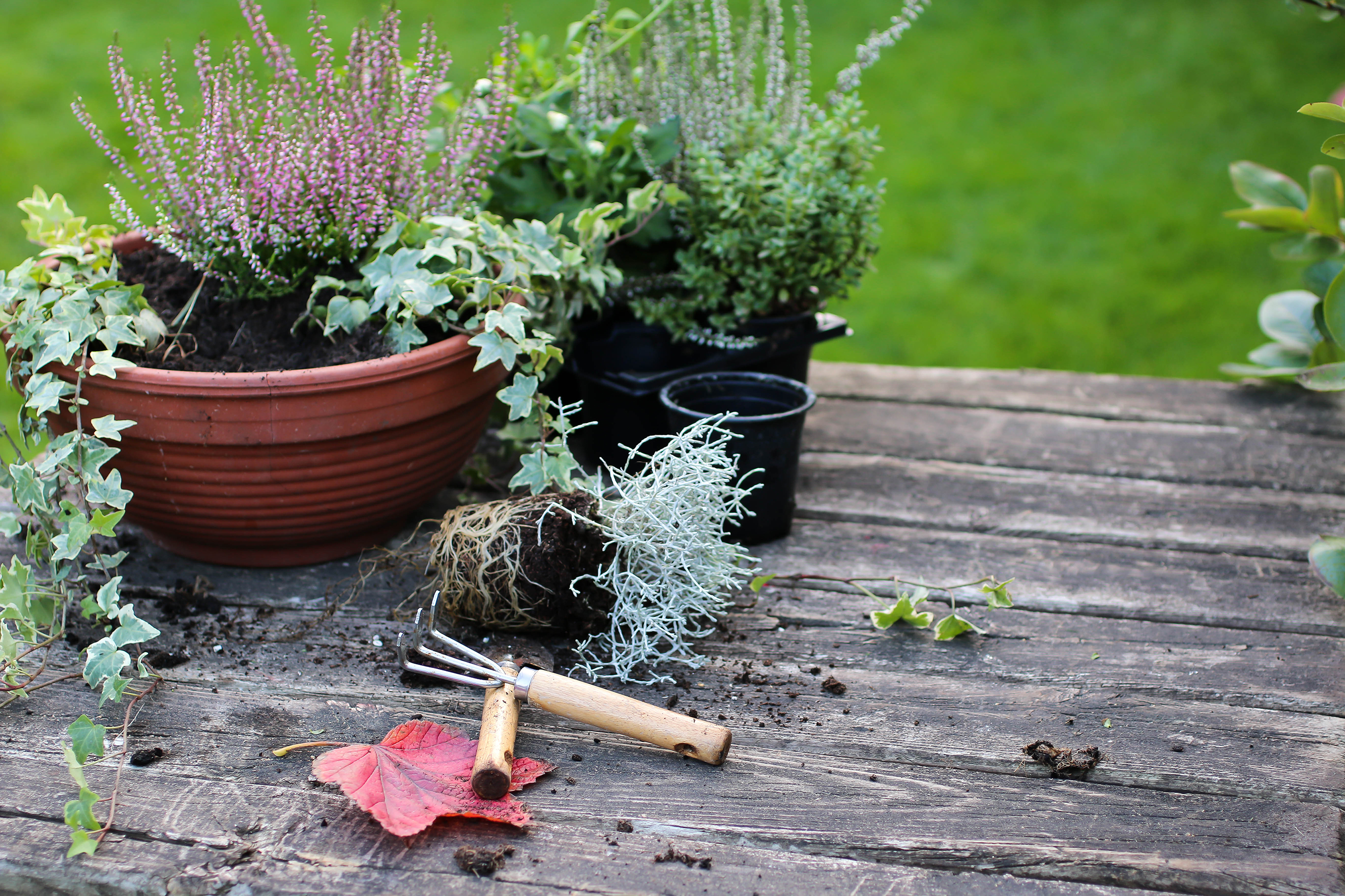 Getting your garden spring ready