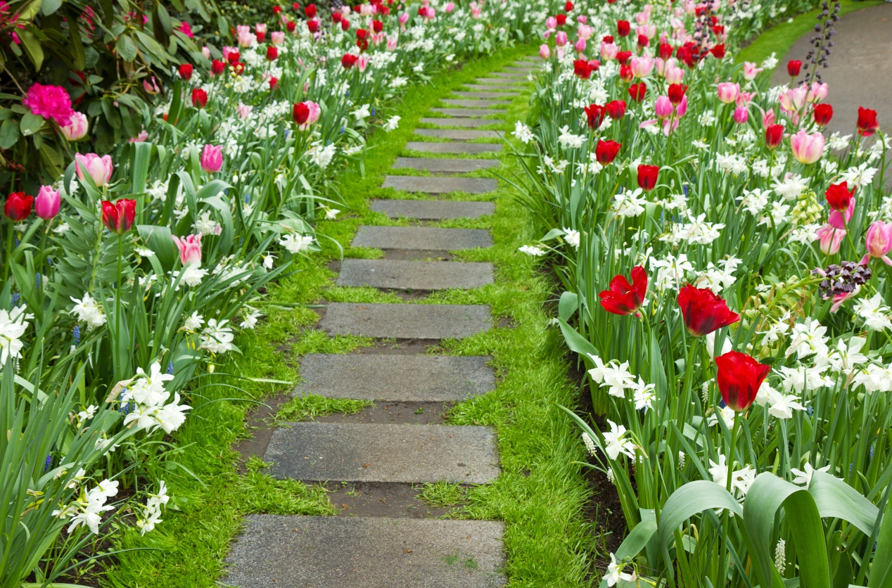 Les Couleurs Du Jardin Au Printemps La Pause Jardin