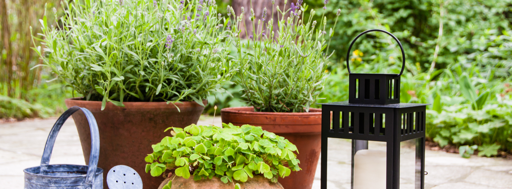 potten op het terras