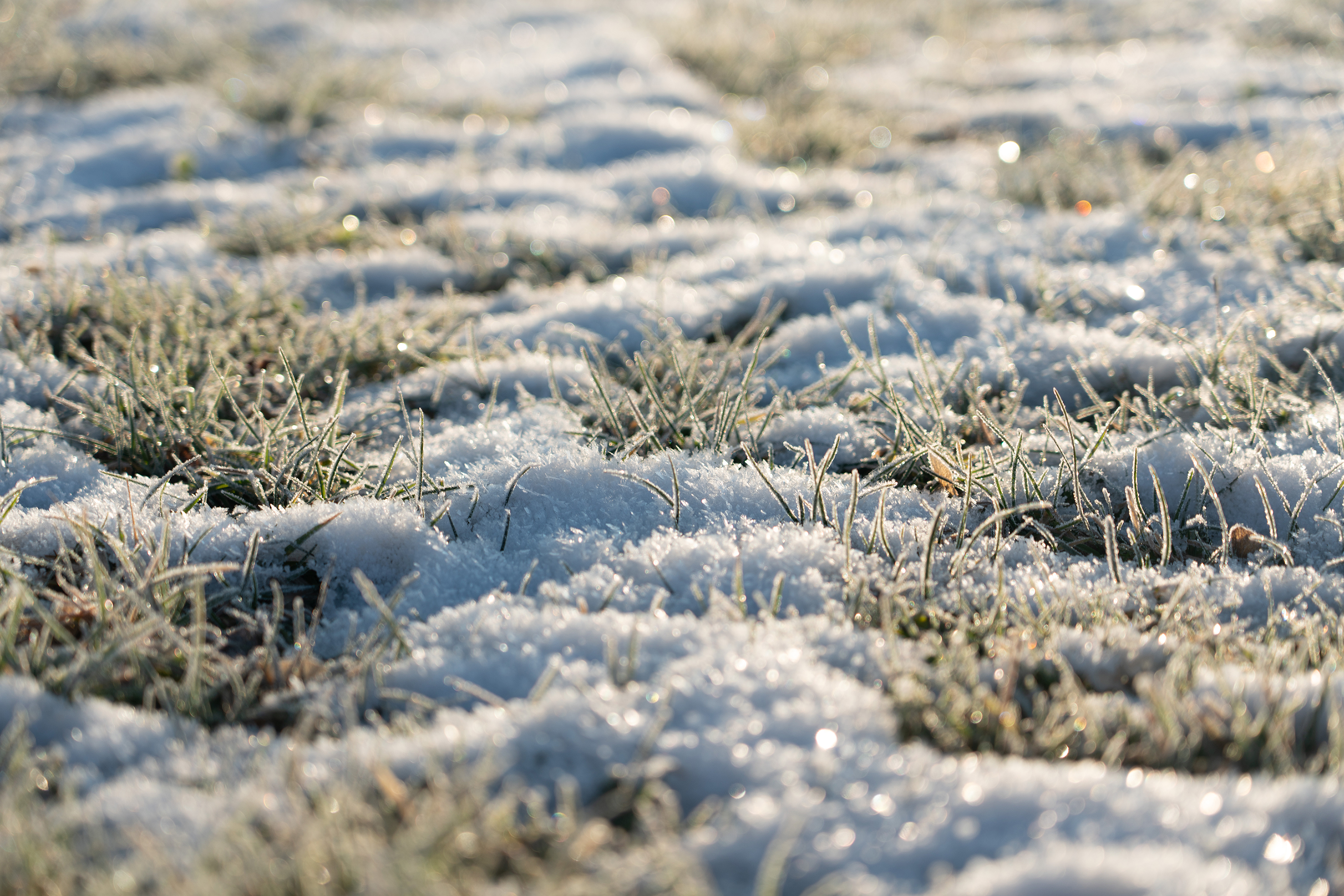 Protecting your lawn for winter