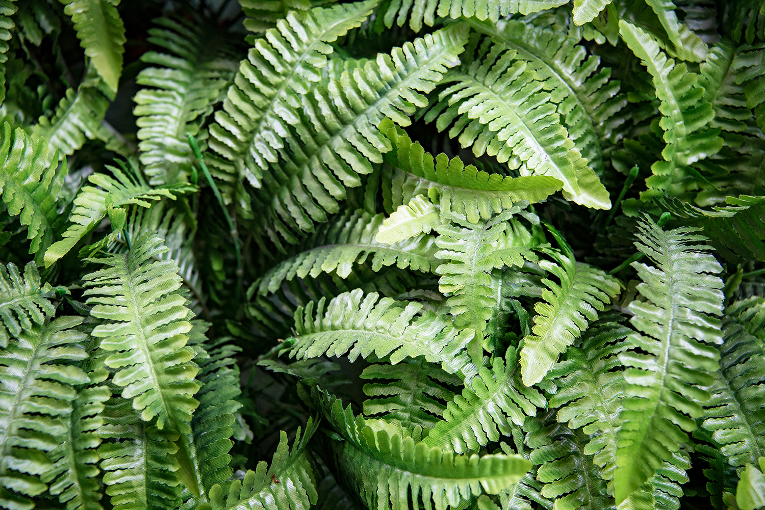 Carbon Neutral | Love The Garden