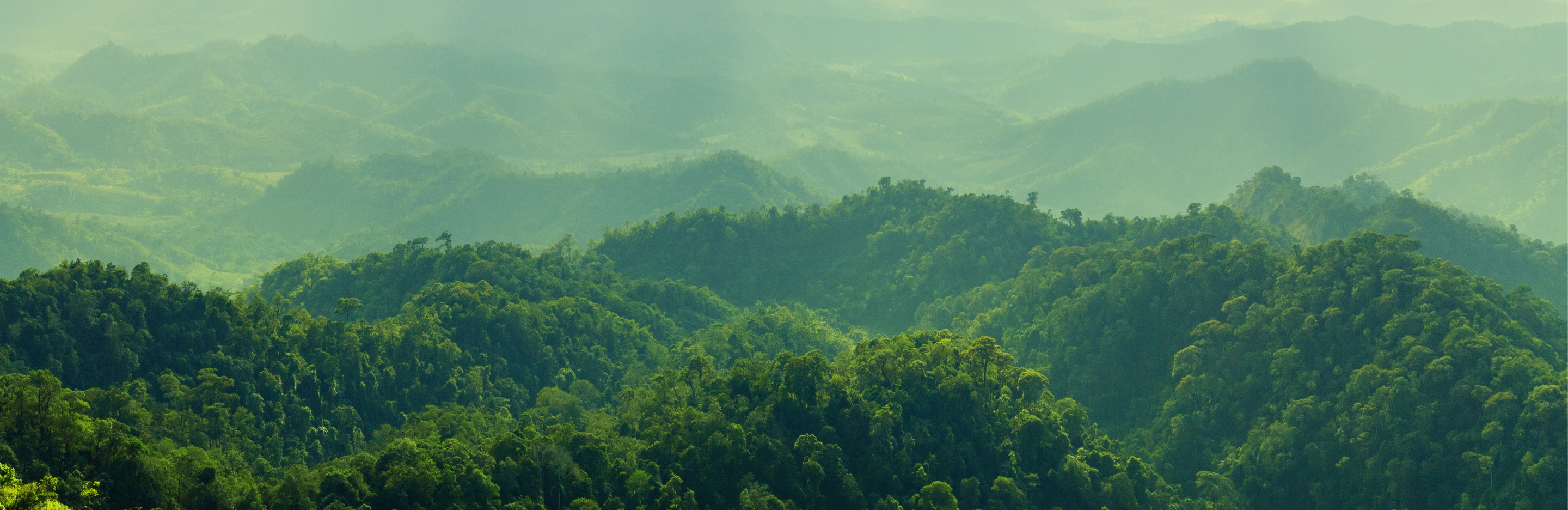 Zobowiązanie Terra Carta