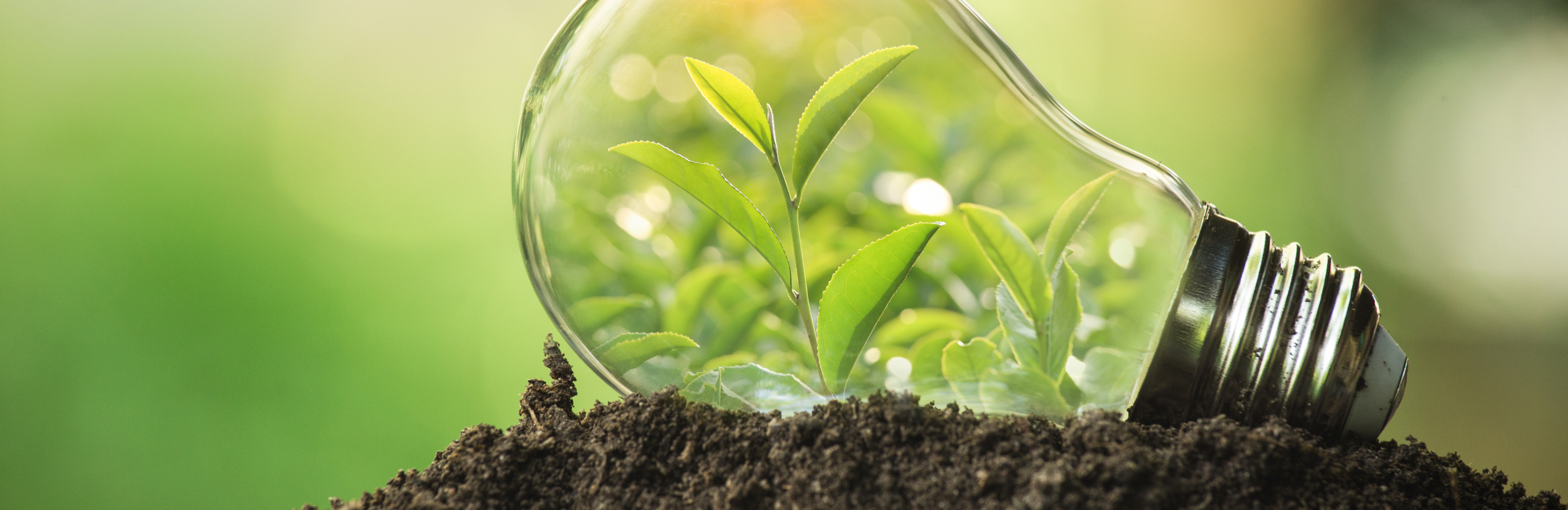  System Zbiórki Opakowań PSOR