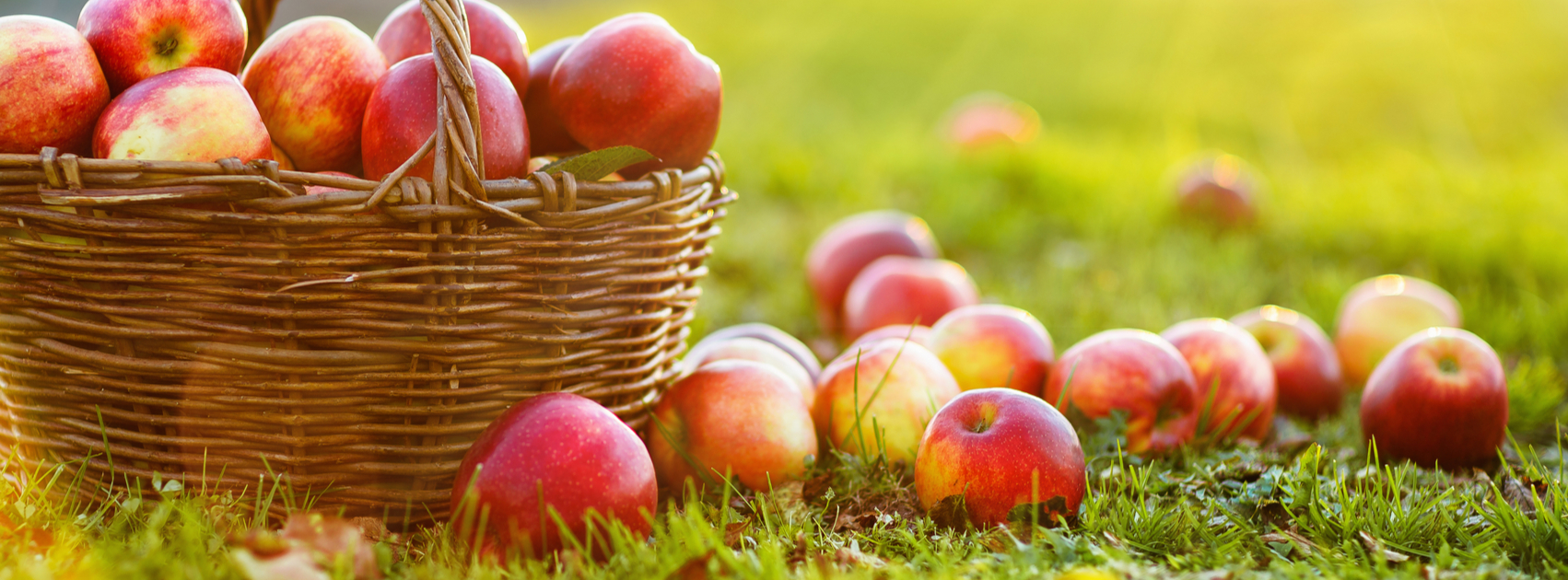 Uit liefde voor de tuin