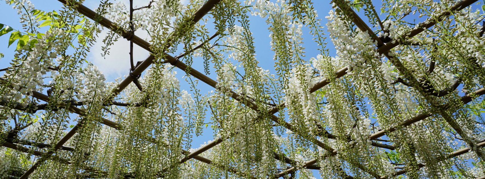 terras bescherming tegen de zon