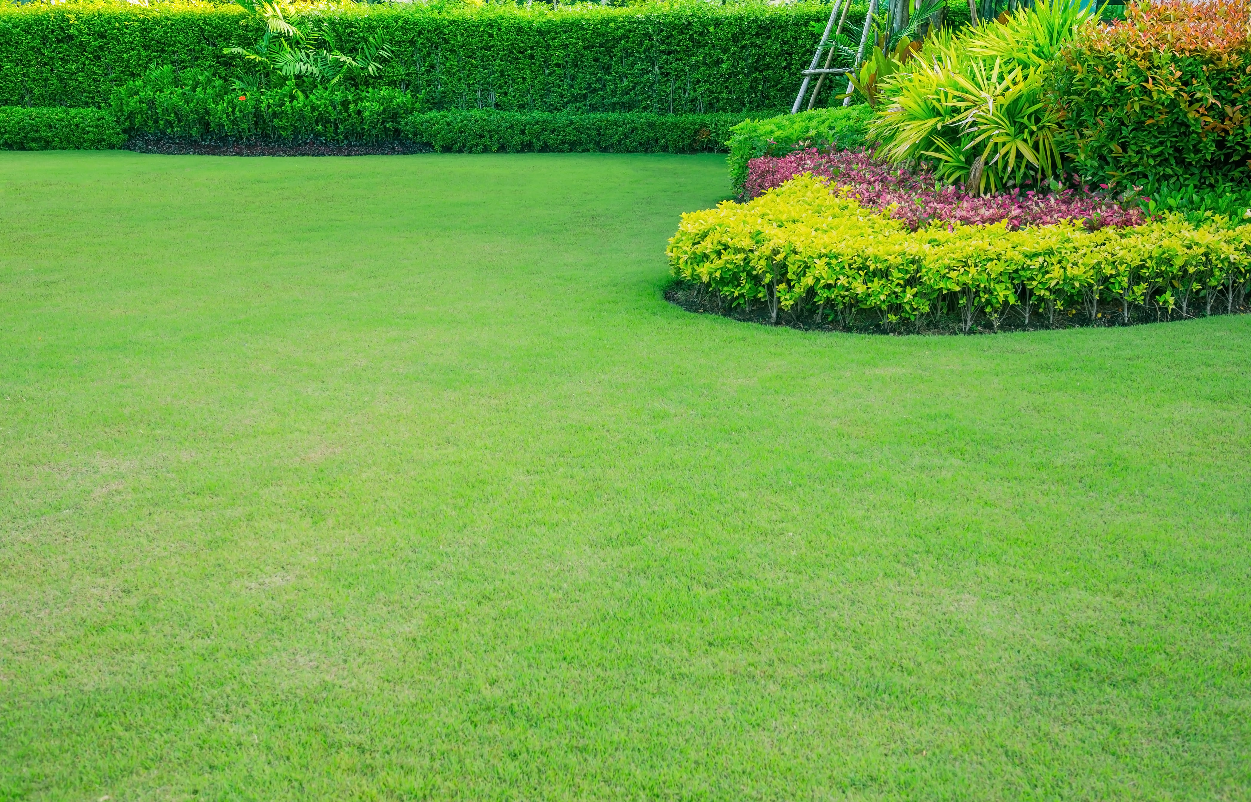 A level green lawn surrounding a flower bed.