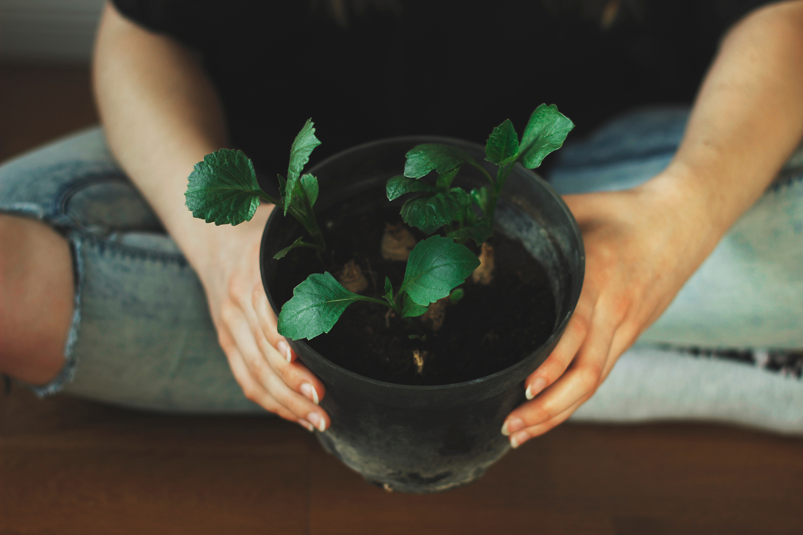 Your compost is changing | Evergreen Garden Care