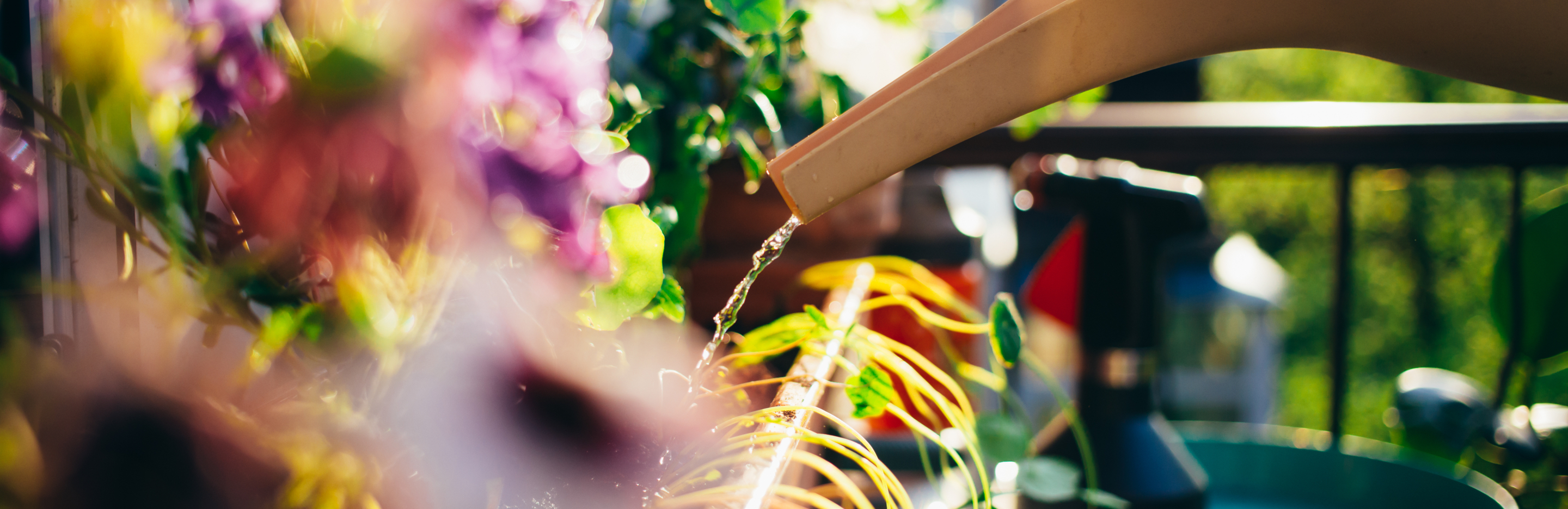 Nawożenie interwencyjne - Q&A