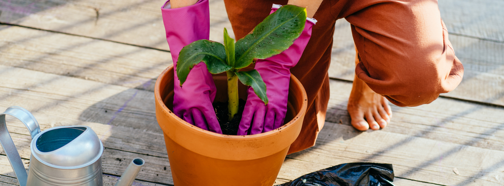 juiste potgrond kiezen