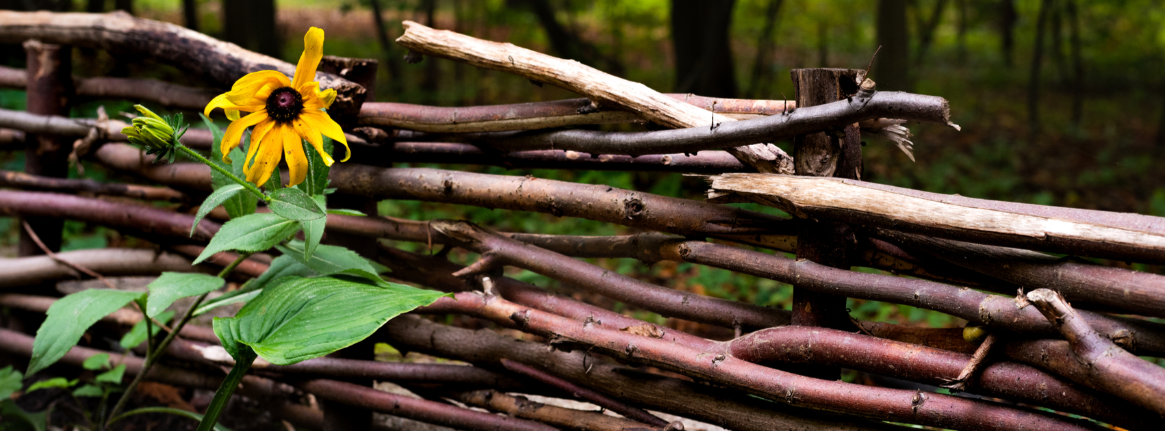 wat doen met snoeiafval