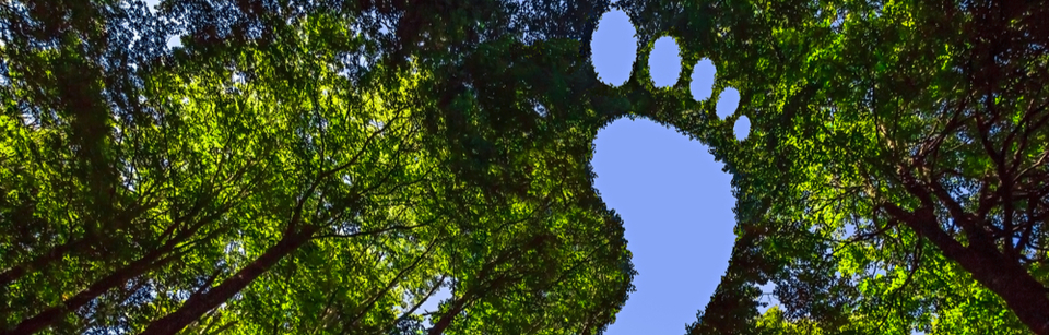 CO2 neutraal bedrijf