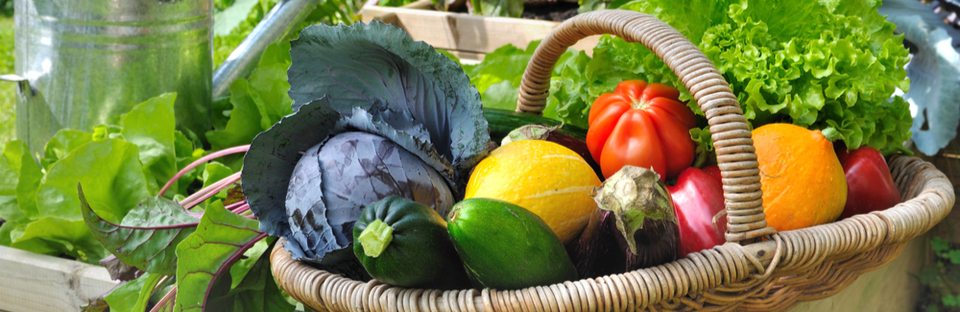 Rapport de développement durable 2021 evergreen garden care