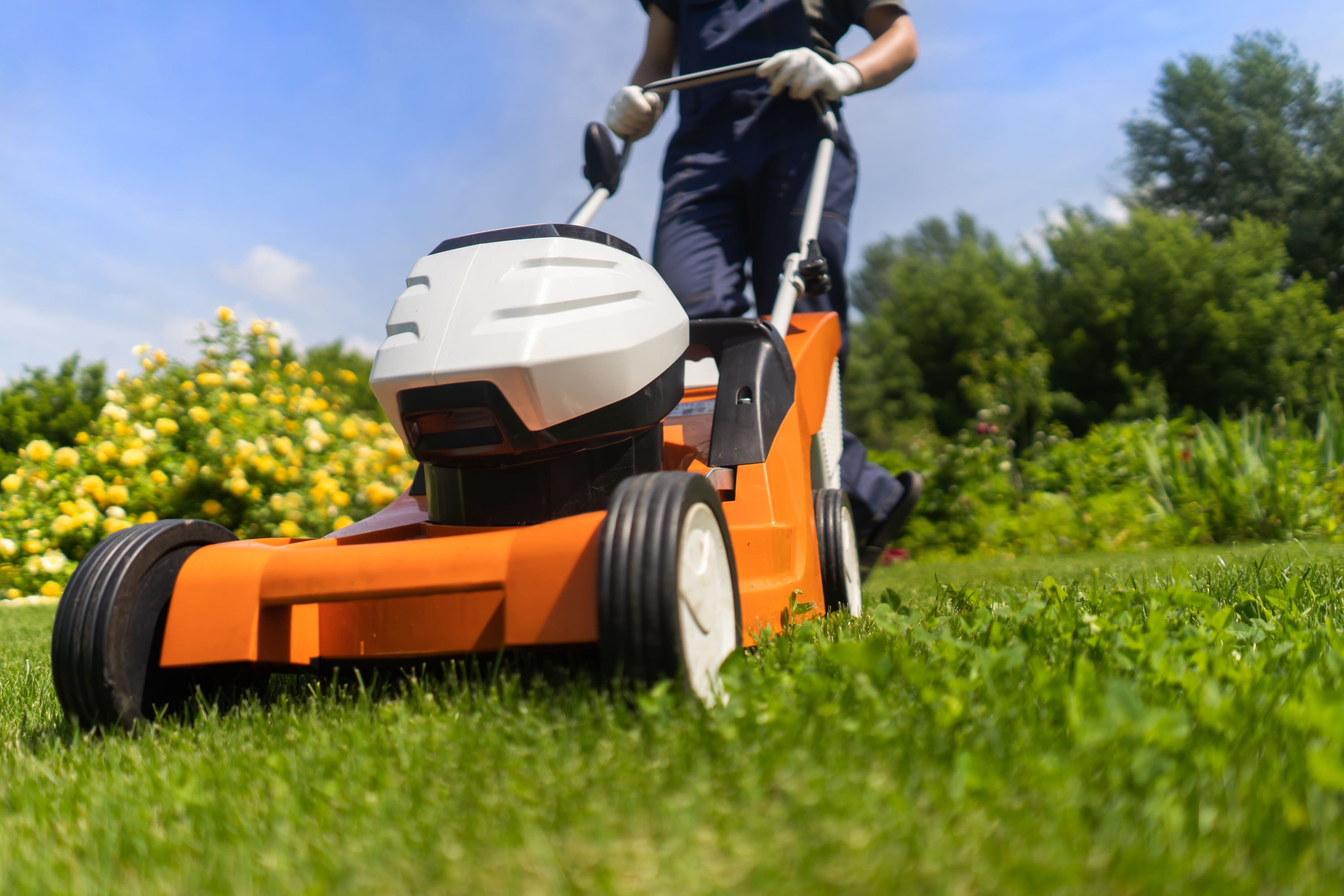 A person mowing the lawn with plants and shrubs in the background
