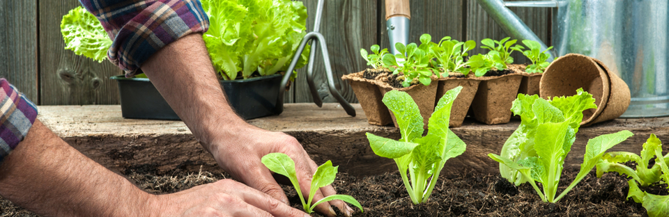 verantwoord plasticbeheer