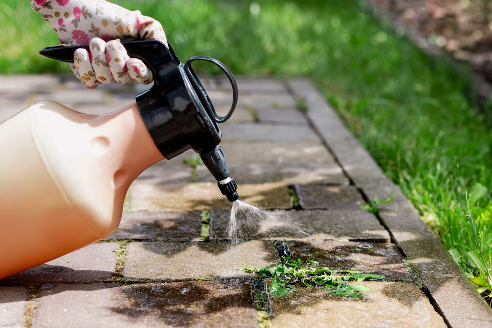 Top ways to treat weeds