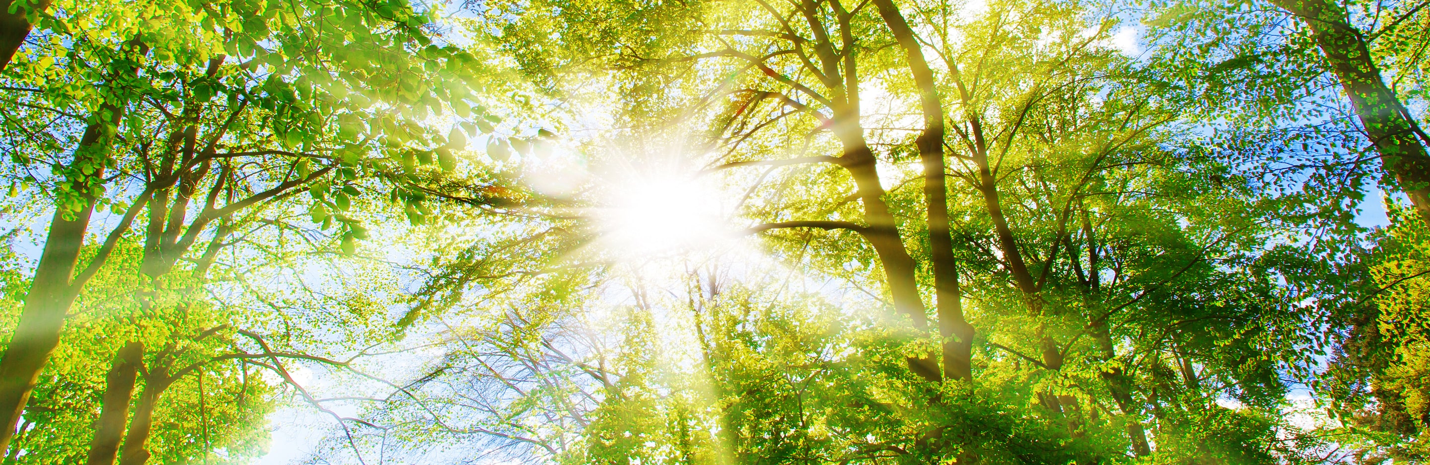 Raport zrównoważonego rozwoju