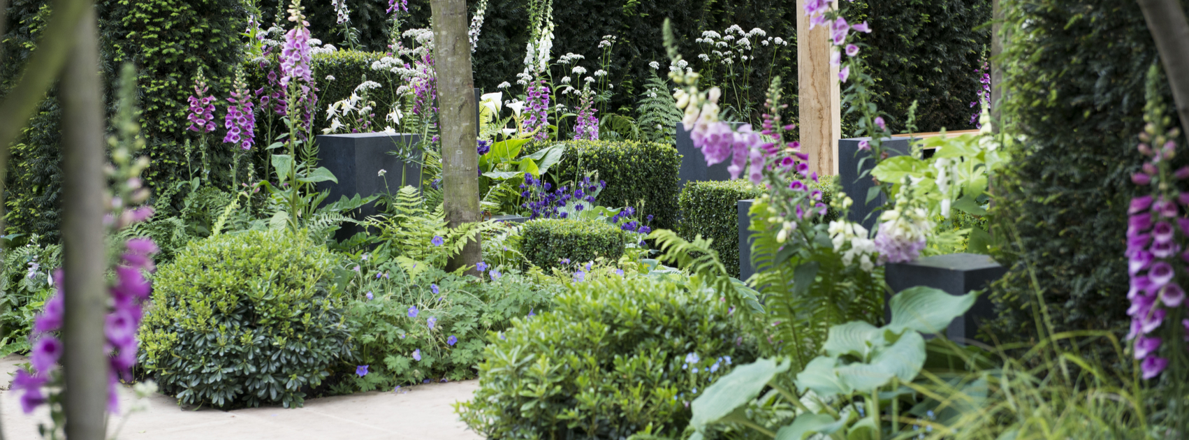 plantenziektes en plagen in de tuin