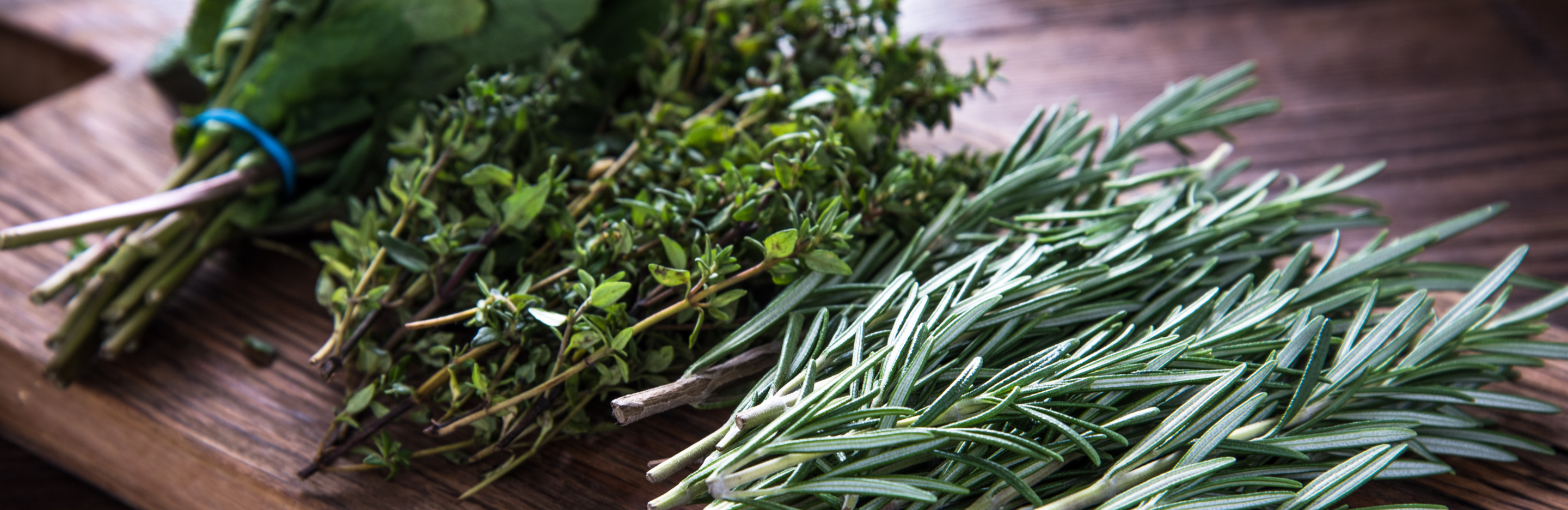  Domowa uprawa ziół