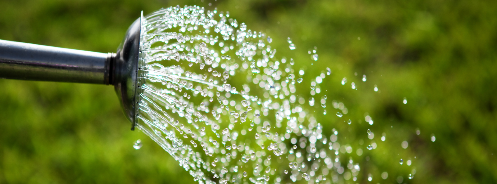 waarom en hoe je gazon sproeien