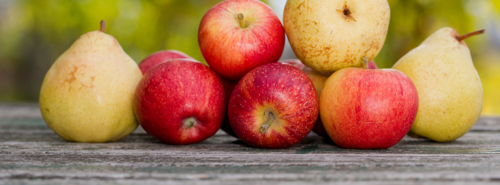 fruitmot appels peren