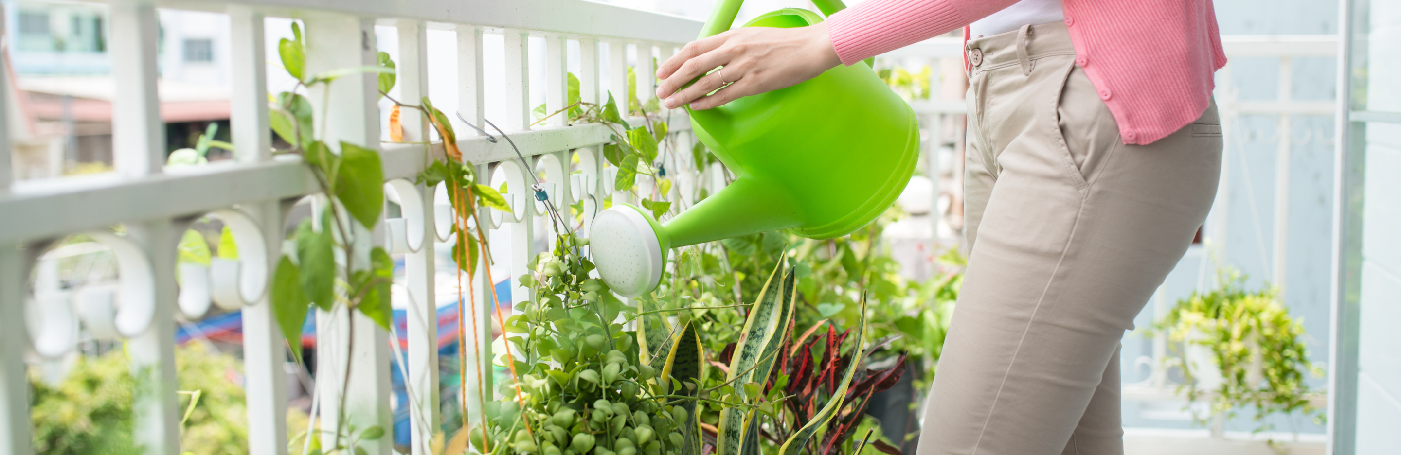  Podlewanie kwiatów balkonowych