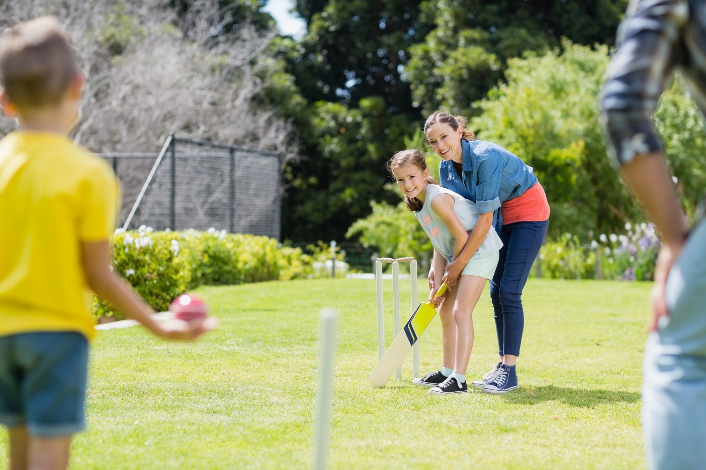 Cricket on backyard lawn