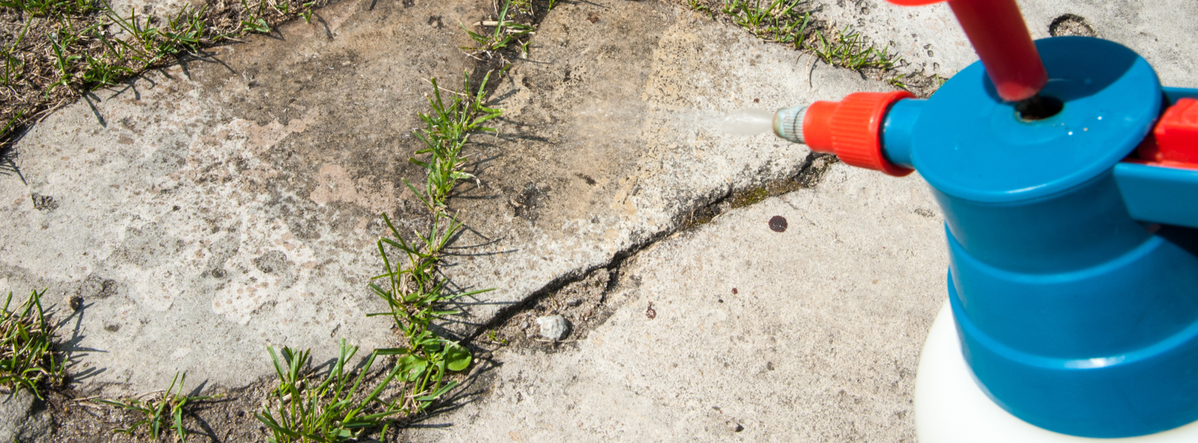 productinformatie bestrijdingsmiddelen