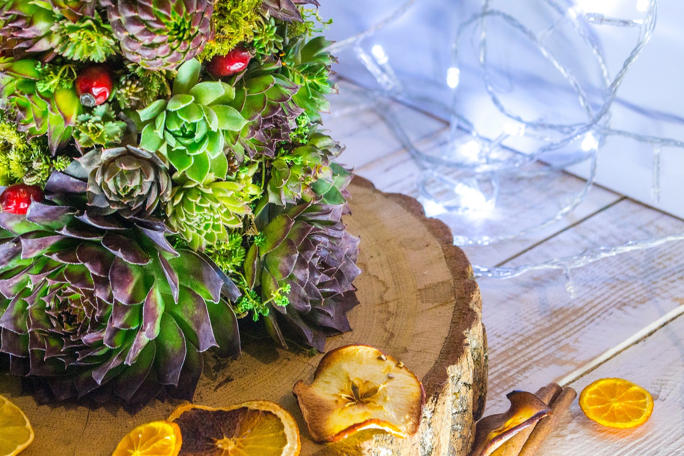 Succulent Christmas tree