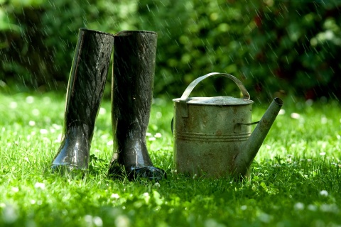 Faites de la météo un allié pour votre jardin avec la Station