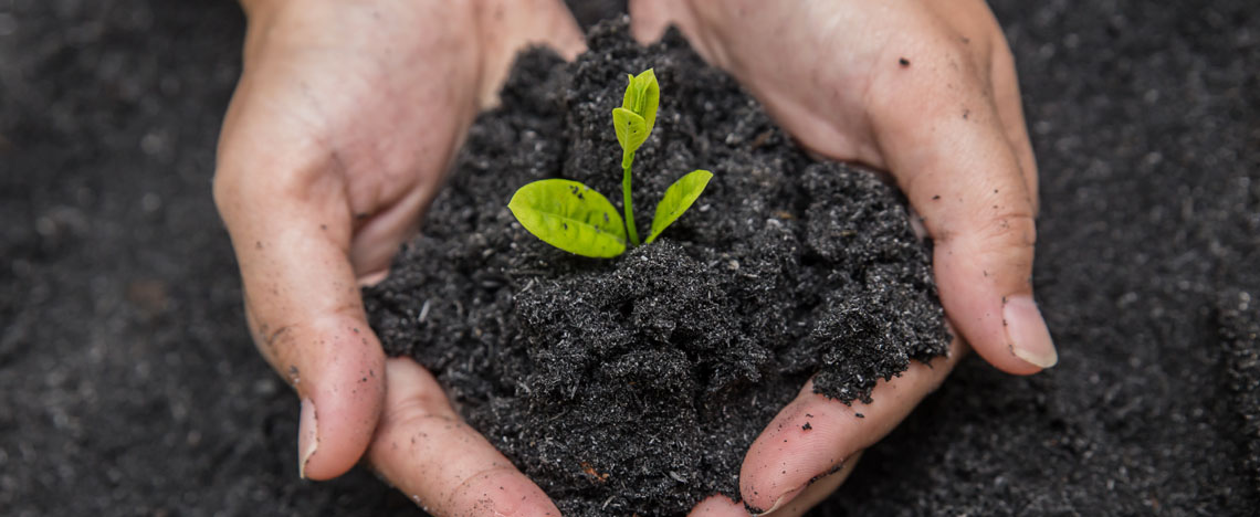 Terreau sans tourbe - Love The Garden