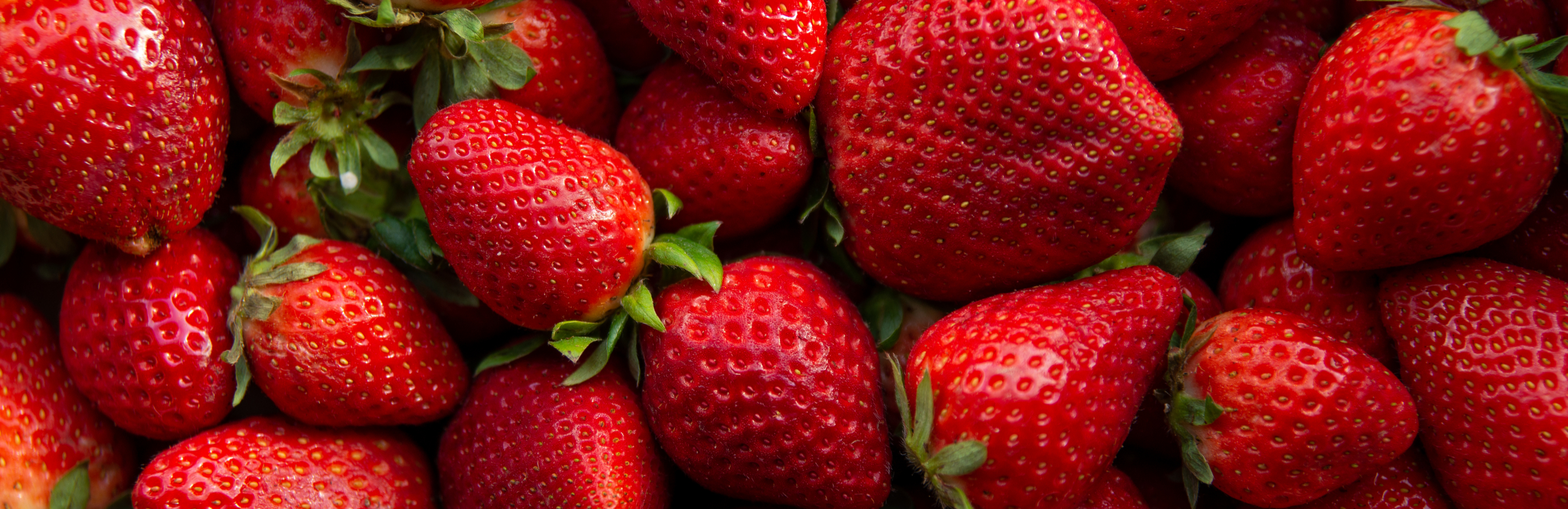 Choroby i szkodniki na porzeczkach i truskawkach