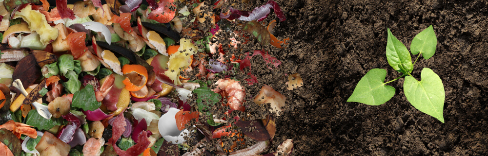 How to make organic compost
