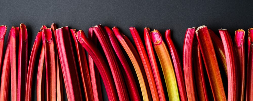 varieties of rhubarb