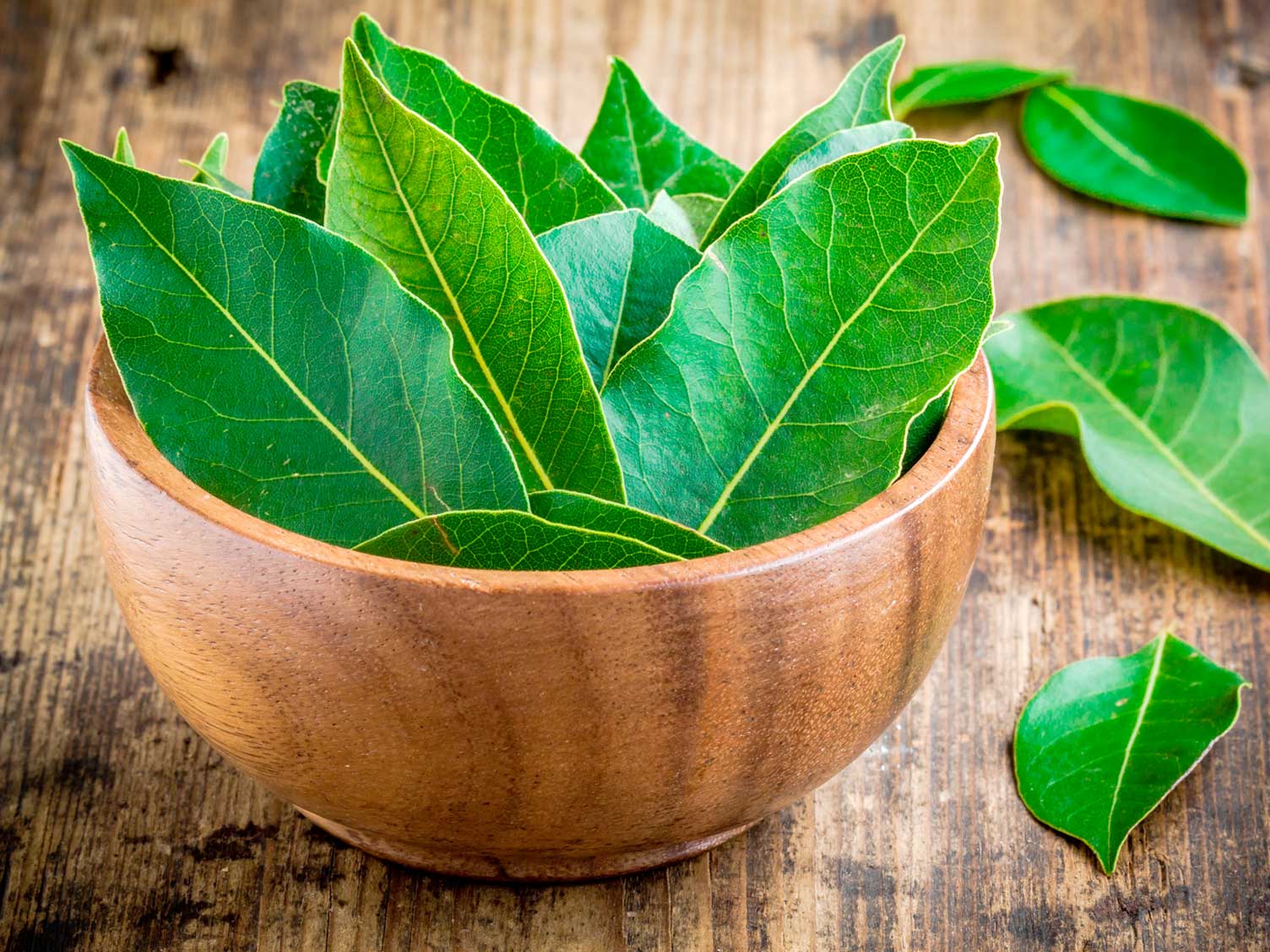 Bay leaves ready for use in cooking