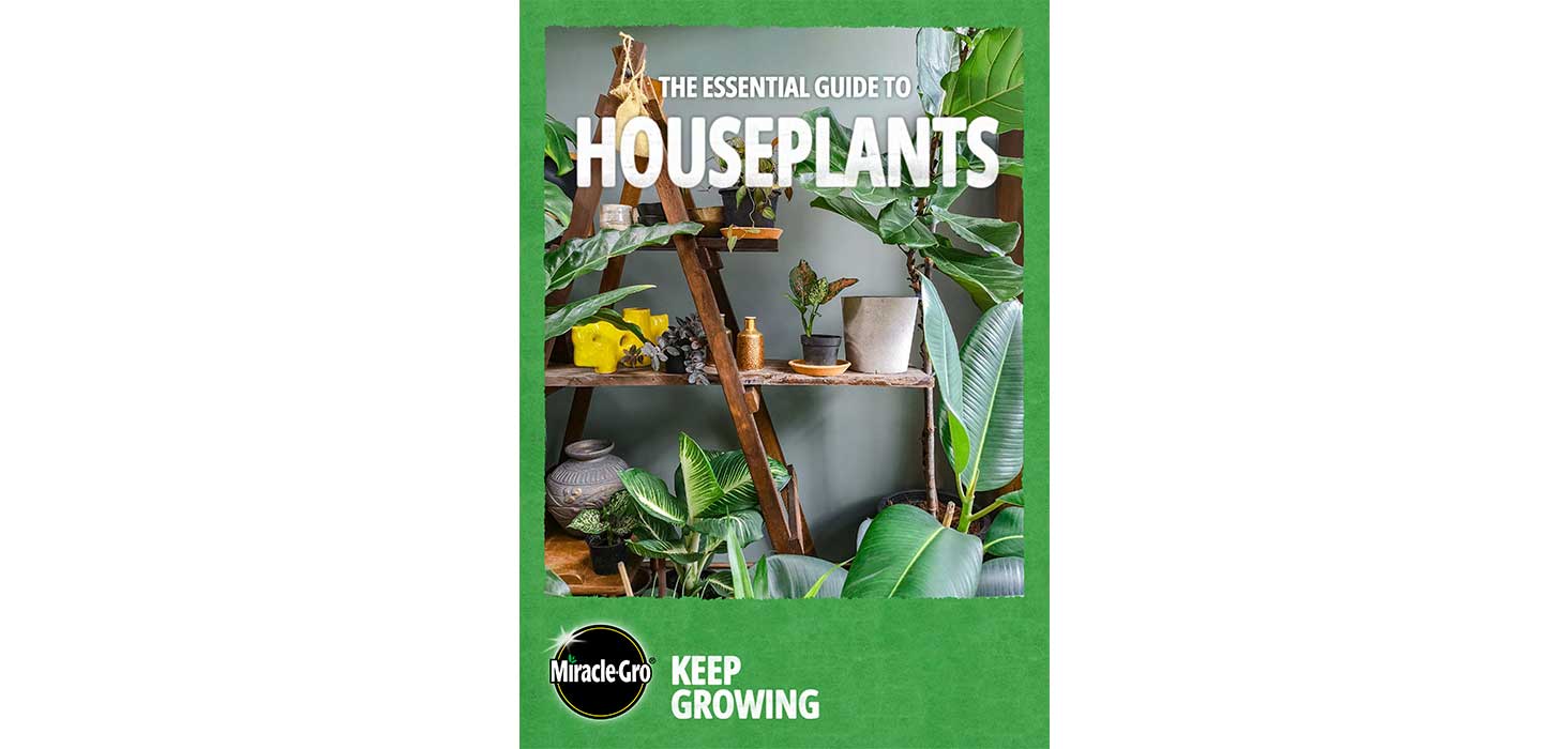 The Essential Guide To Houseplants book cover